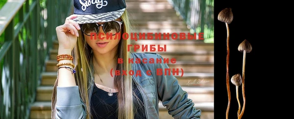 соль ск Алексеевка