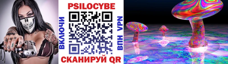купить наркоту  Тавда  Галлюциногенные грибы Psilocybine cubensis 