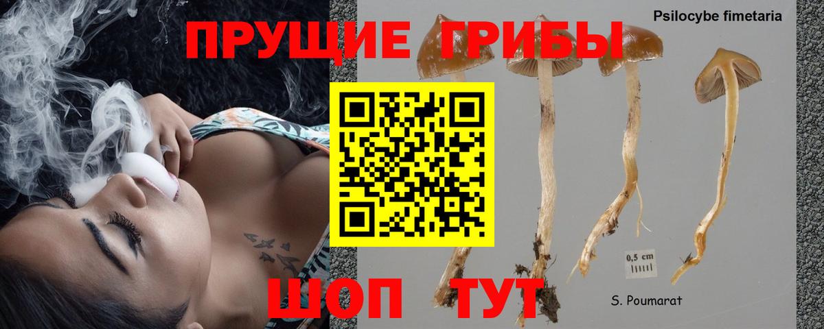Галлюциногенные грибы ЛСД Тавда